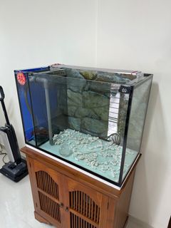 (Category: ) located in . Submitted by luckyl (Listing ID 1366544815, Image 1). Description: .