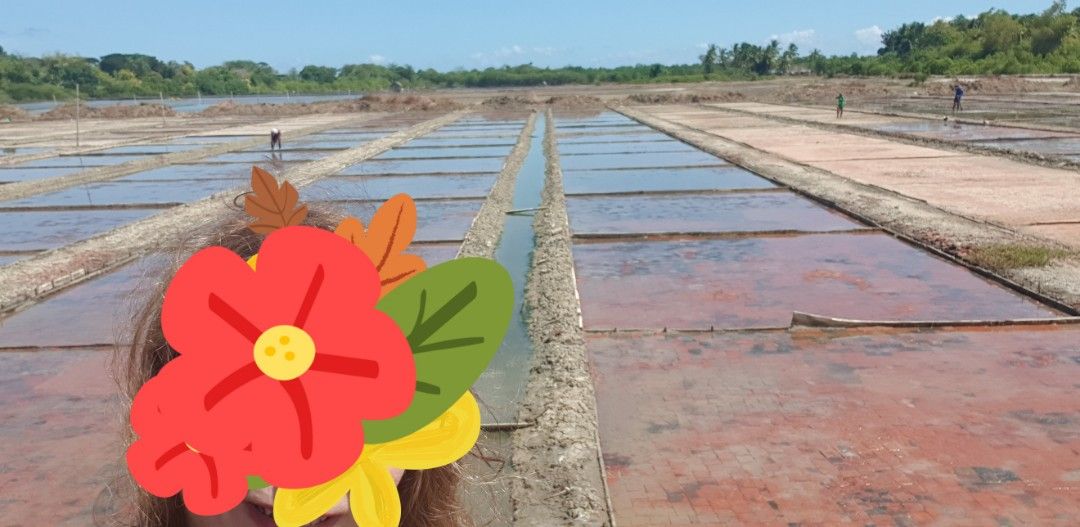 Fishpond Saltbeds❤❤❤ (Category: Lot) located in Pasig City. Submitted by happyshopper12345 (Listing ID 1366652846, Image 1). Description: Beautiful sprawling fishpond and saltbeds farm for sale covering 193,554 square meters or 19.3554 hectares of prime agricultural land. The property is located far enough inside to produce pristine white salt, but near enough to the nearest town. Currently the fishponds breeds and grows bangus fish. The property