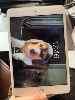 ipad mini 4