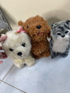 (Kategori: ) berada di . Dikirim oleh cvbeauty (ID iklan 1366572894, Gambar 1). Deskripsi: .