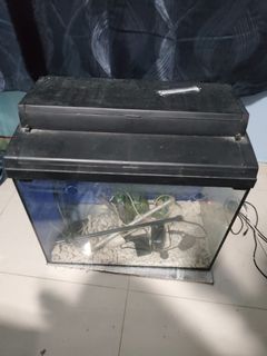 (Category: ) located in . Submitted by shatish.kumar (Listing ID 1368275657, Image 1). Description: .