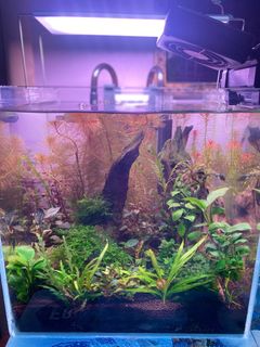 (Category: ) located in . Submitted by fariq_adam (Listing ID 1368297514, Image 1). Description: .