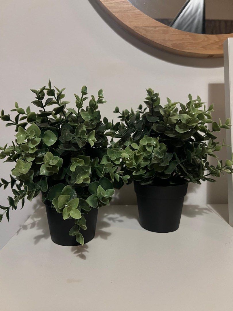 Nice decoration & Artificial plants65075498637442111
