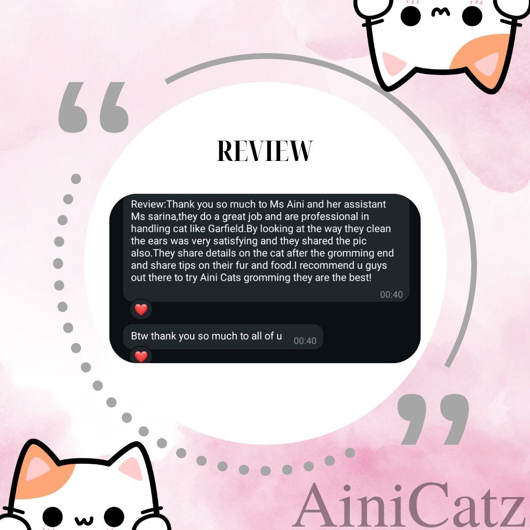 Basic Grooming (Category: Health & Grooming) located in Singapore. Submitted by ainicatz (Listing ID 1368373339, Image 2). Description: Go for our basic grooming if you only need essential maintenance to keep your furbabies clean and well-groomed! Book an appointment with us now ☺️.