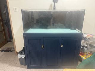 (Category: ) located in . Submitted by phqr6syq7q62246 (Listing ID 1368271391, Image 1). Description: .