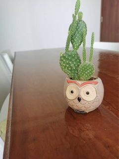 (Category: ) located in . Submitted by suki801 (Listing ID 1359920555, Image 1). Description: .