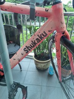 (Category: ) located in . Submitted by linglongbangla (Listing ID 1368318628, Image 1). Description: .