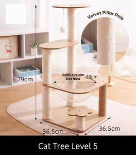 (Category: ) located in . Submitted by bella.carousel (Listing ID 1035187827, Image 1). Description: .
