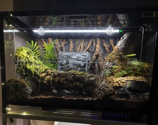 (Category: ) located in . Submitted by ayxyy (Listing ID 1368509513, Image 1). Description: .