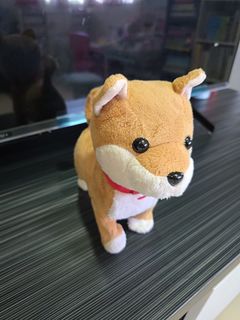 (Category: ) located in . Submitted by pandainholiday (Listing ID 1368423197, Image 1). Description: .