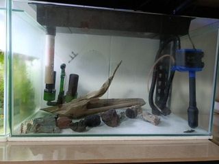 (Category: ) located in . Submitted by sidebliss (Listing ID 1368692840, Image 1). Description: .