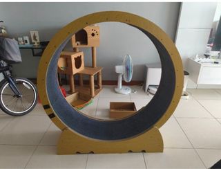 (Category: ) located in . Submitted by wittys (Listing ID 1368717863, Image 1). Description: .