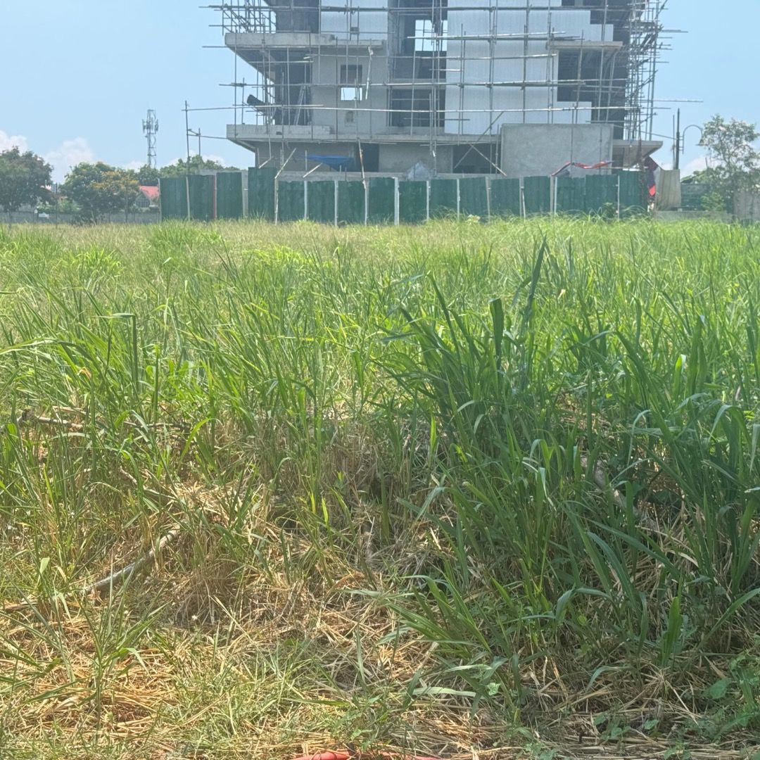 ALABANG WEST FOR SALE! (Category: Lot) located in Manila. Submitted by lindy.severino (Listing ID 1368923609, Image 3). Description: ALABANG WEST VILLAGE Las Piñas, Metro Manila 📍Vacant Lot for Sale! Lot Area: 297 sqm Price per sqm: Php 95,000 Selling Price: Php 28,215,000 ▫️Vacant Lot ▫️Facing Southwest Get in Touch with Us! CORE REALTORS ☎️ (0917) 883 1452 ☎️ (0917) 820 1452.