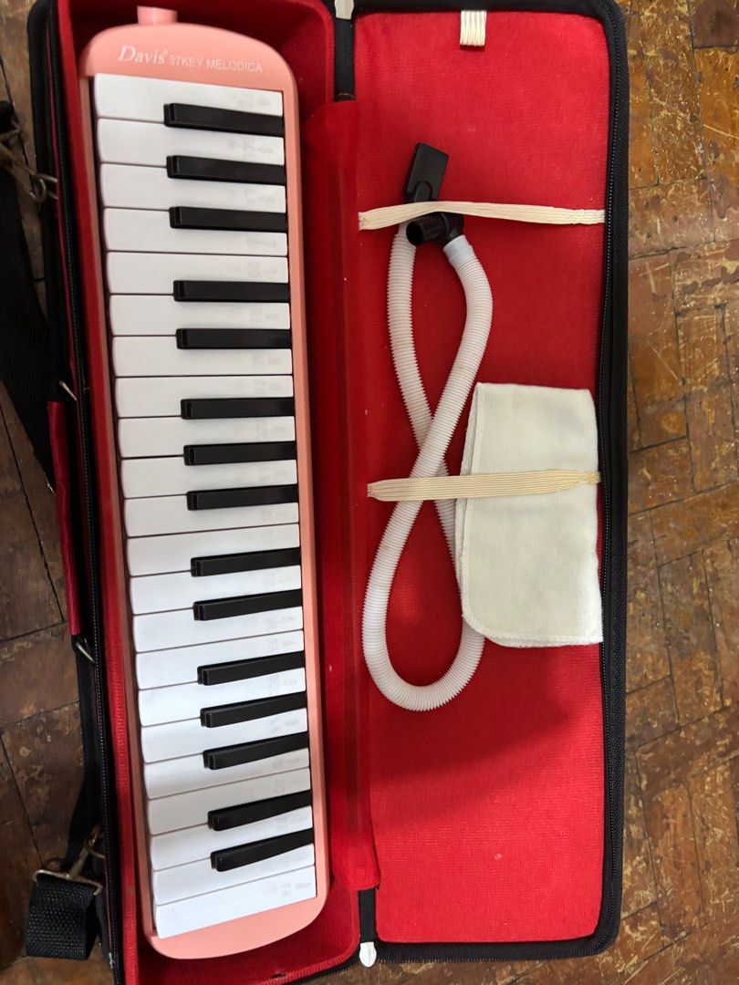 Davis Melodica (Category: Musical Instruments) located in San Juan City. Submitted by declutterhailey (Listing ID 1368902684, Image 1). Description: .