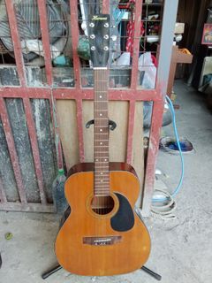 Haruna Acoustic Guitar model no. 213