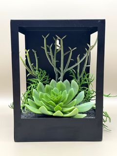 (Category: ) located in . Submitted by the_occassional_shopper (Listing ID 1368942662, Image 1). Description: .