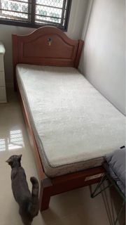 (Category: ) located in . Submitted by nsmbn (Listing ID 1368839322, Image 1). Description: .