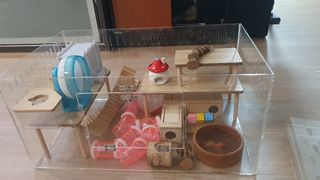 (Category: ) located in . Submitted by plusoneaf (Listing ID 1369072170, Image 1). Description: .