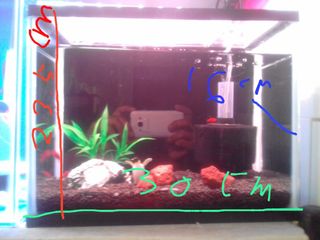 (Category: ) located in . Submitted by shamemy (Listing ID 1369011703, Image 1). Description: .
