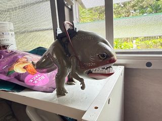 (Category: ) located in . Submitted by jedipadawan (Listing ID 1342359234, Image 1). Description: .