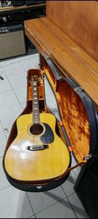 Tokai humming bird 480f acoustic guitar