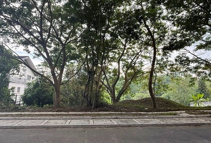 Westgrove Lot for sale (Category: Lot) located in Calamba. Submitted by rvsrealty1 (Listing ID 1368981494, Image 1). Description: Westgrove lot resale phase 14 direct buyers pls Block 2 413 sqm. north facing.
