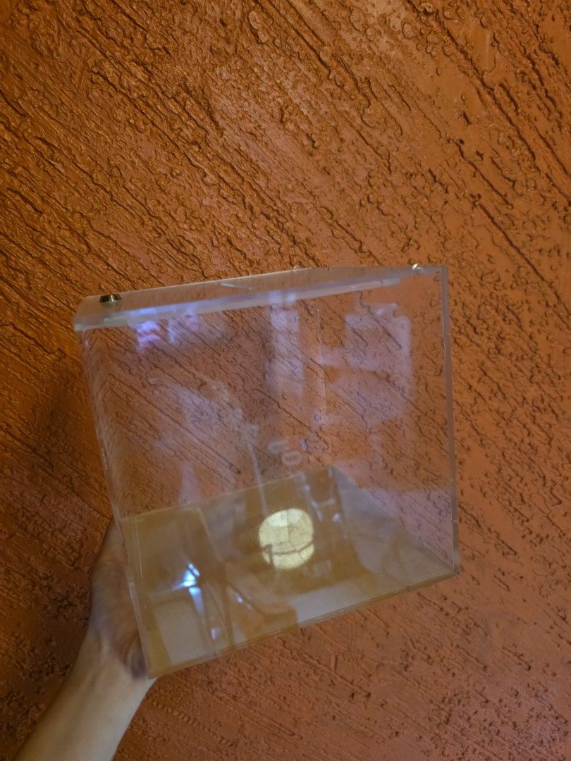 Acrylic box good for wedding (Category: Storage Boxes & Baskets) located in Quezon City. Submitted by yGGGG (Listing ID 1369172547, Image 1). Description: acrylic box 8x8 good for wedding money envelope.