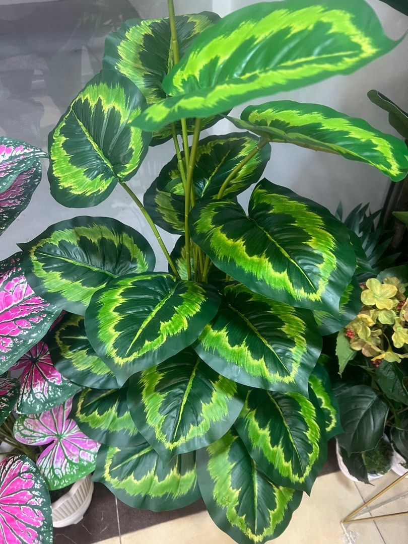 Artificial plants (Category: Artificial Plants & Flowers) located in Singapore. Submitted by jacksonlau533 (Listing ID 1369196570, Image 3). Description: Artificial plants H118cm x L50cm $45,for more information can call or SMS 92388537 thanks you so much 😊.