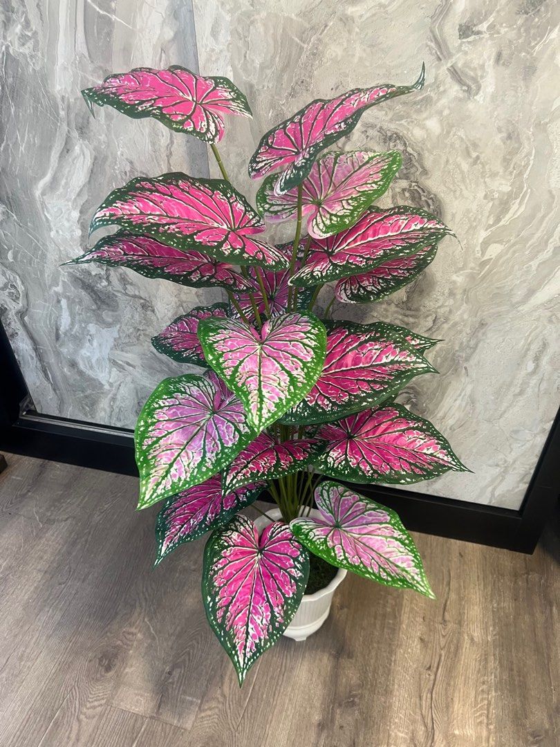 Artificial plants (Category: Artificial Plants & Flowers) located in Singapore. Submitted by jacksonlau533 (Listing ID 1369196570, Image 1). Description: Artificial plants H118cm x L50cm $45,for more information can call or SMS 92388537 thanks you so much 😊.