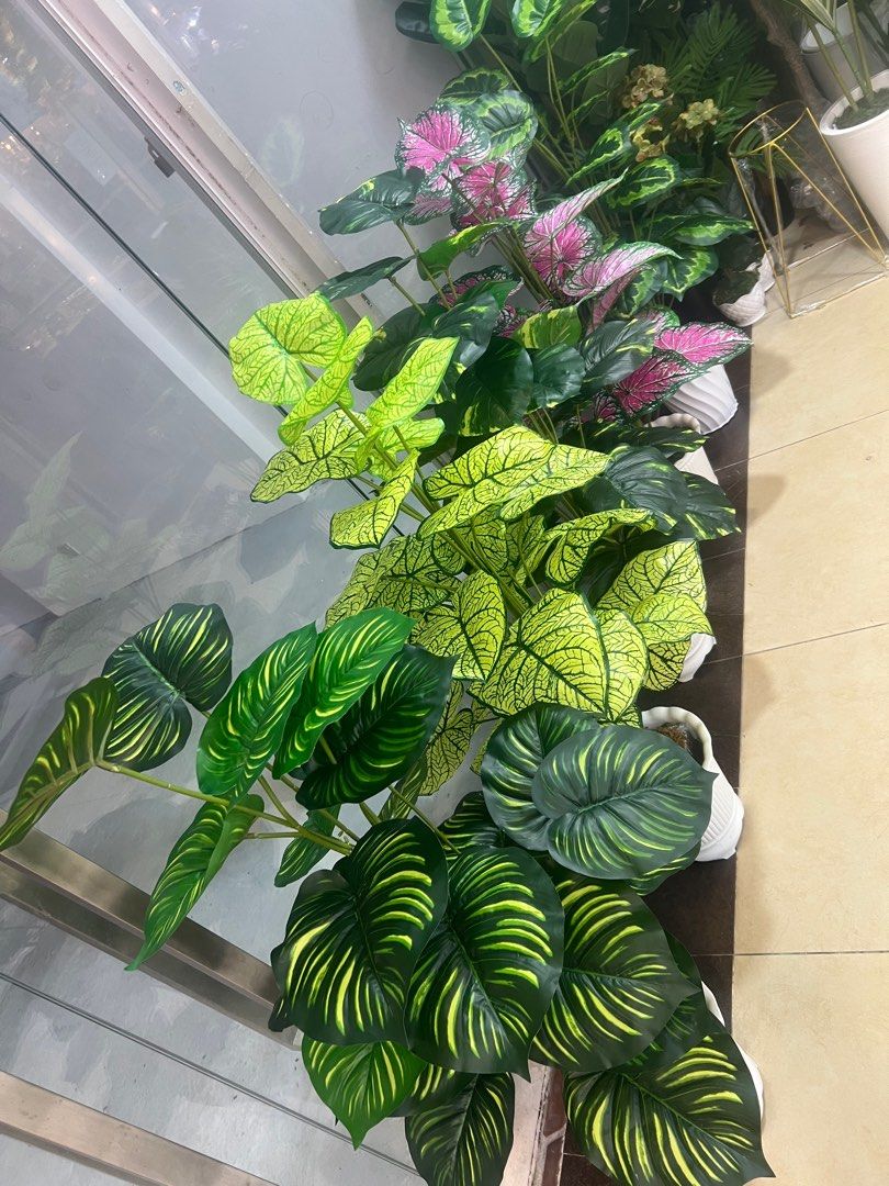 Artificial plants (Category: Artificial Plants & Flowers) located in Singapore. Submitted by jacksonlau533 (Listing ID 1369196570, Image 2). Description: Artificial plants H118cm x L50cm $45,for more information can call or SMS 92388537 thanks you so much 😊.