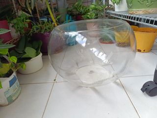 （分類：）位於 。 由 chaningrid981 提交（商品編號 1369147449，圖片 1）。簡介： 。