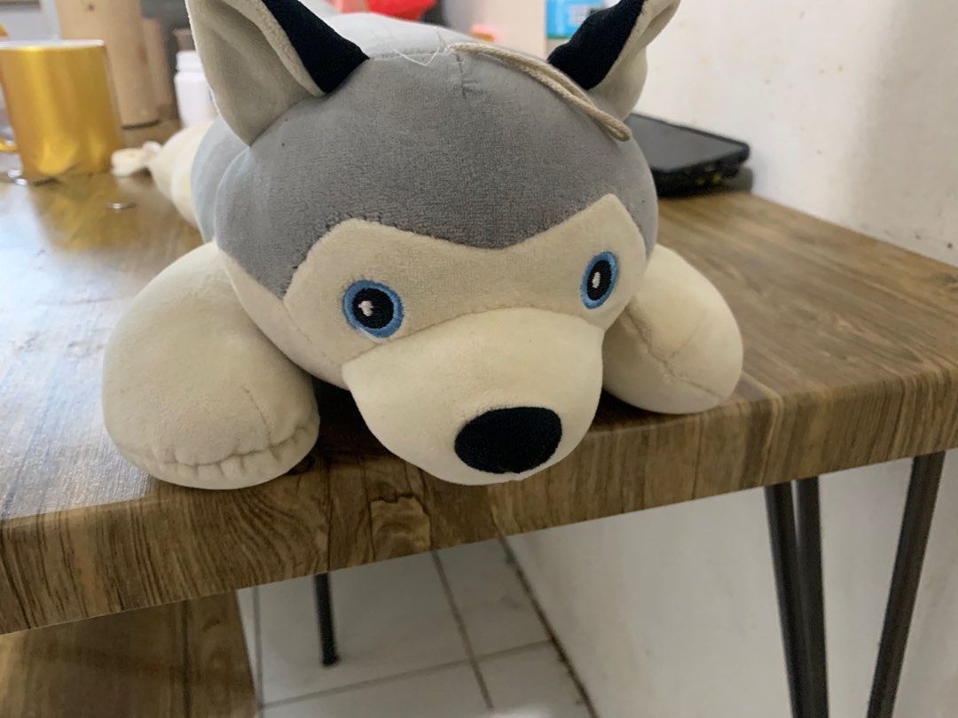 Long Husky Plush (Category: Plushies & Soft Toys) located in Las Pinas. Submitted by aokisells (Listing ID 1369309684, Image 1). Description: see last pic for size reference since idk the real measurement, needs wash be warned.