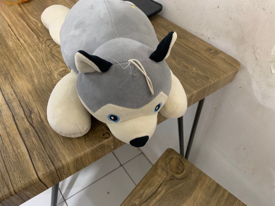 Long Husky Plush (Category: Plushies & Soft Toys) located in Las Pinas. Submitted by aokisells (Listing ID 1369309684, Image 2). Description: see last pic for size reference since idk the real measurement, needs wash be warned.