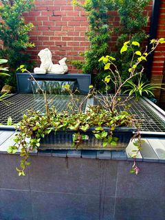 (Category: ) located in . Submitted by sue-ellen (Listing ID 1366818157, Image 1). Description: .
