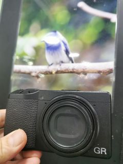 （分類：）位於 。 由 shamwo_114 提交（商品編號 1369221726，圖片 1）。簡介： 。