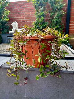 (Category: ) located in . Submitted by sue-ellen (Listing ID 1367116279, Image 1). Description: .