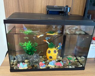 (Category: ) located in . Submitted by pariri (Listing ID 1369382875, Image 1). Description: .