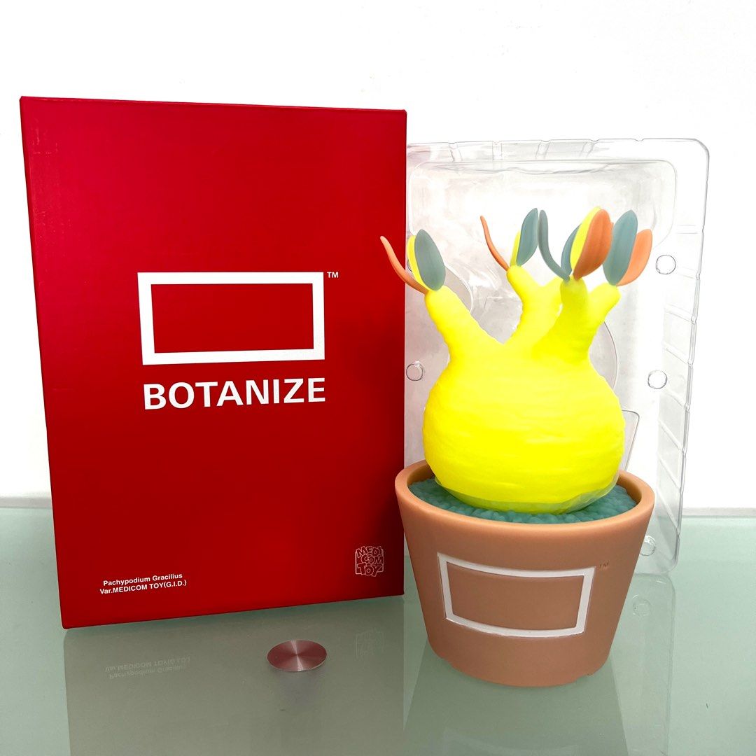 Medicom Toy x Botanize Plants - Pachypodium Gracilius Var