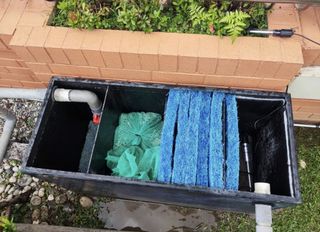 (Category: ) located in . Submitted by aquaticsolutions (Listing ID 1369370520, Image 1). Description: .