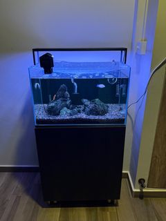 (Category: ) located in . Submitted by worthsales (Listing ID 1369670441, Image 1). Description: .