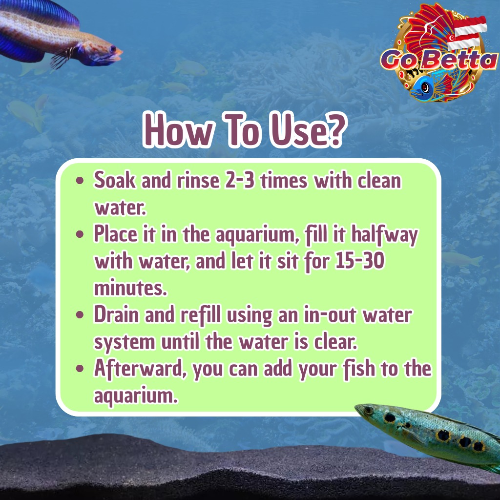 Best Sand for Aquascape