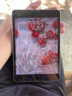 IPAD MINI 4 (128 gb)