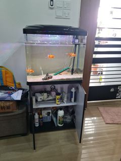 (Category: ) located in . Submitted by dwprint (Listing ID 1369567366, Image 1). Description: .