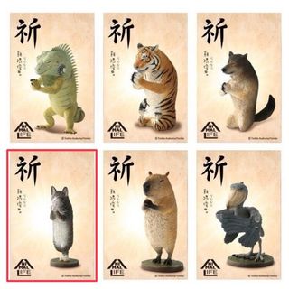 由 sfasud90501710 (刊登 ID 1369769788，圖片 1) 提交，位於 的 (類別：)，說明：。