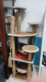 (Category: ) located in . Submitted by shakhan (Listing ID 1369805098, Image 1). Description: .