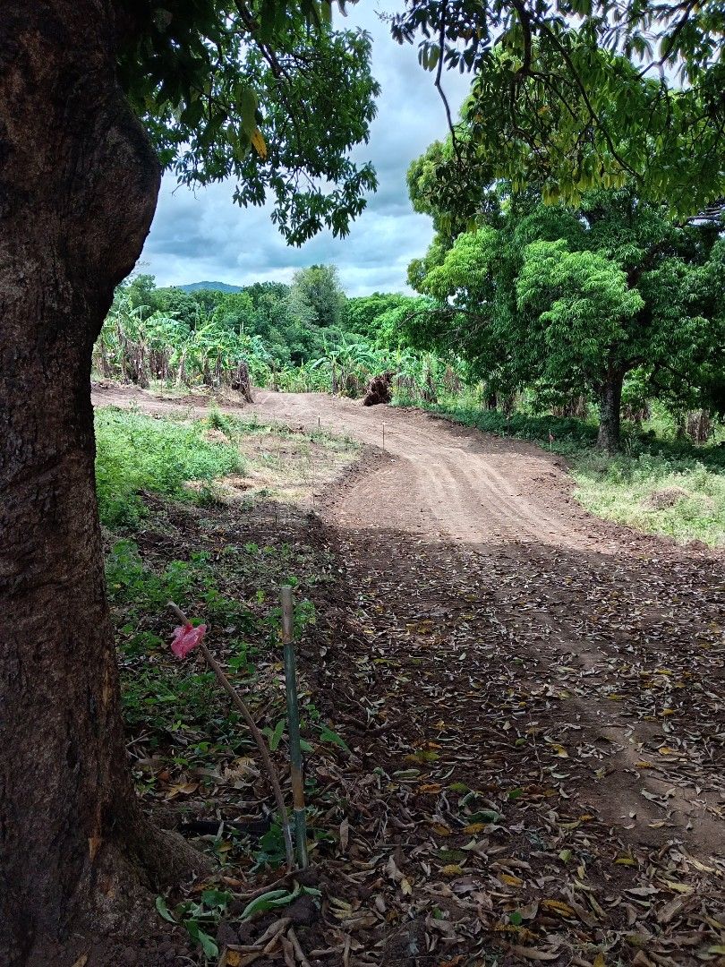 Farm Lot (Category: Lot) located in San Jose del Monte. Submitted by kikayjeng (Listing ID 1369810212, Image 2). Description: Affordable farm lot for sale! 200sqm min cut 2500 per sqm 3 to 5yrs to pay 20% Downpayment payable in 4mos zero interest Direct to Owner Free survey Free mohon.