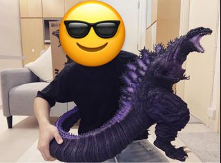（分類：）位於 。 由 jc228_ 提交（商品編號 1369813542，圖片 1）。簡介： 。