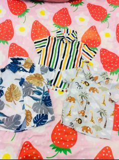 bundle polo