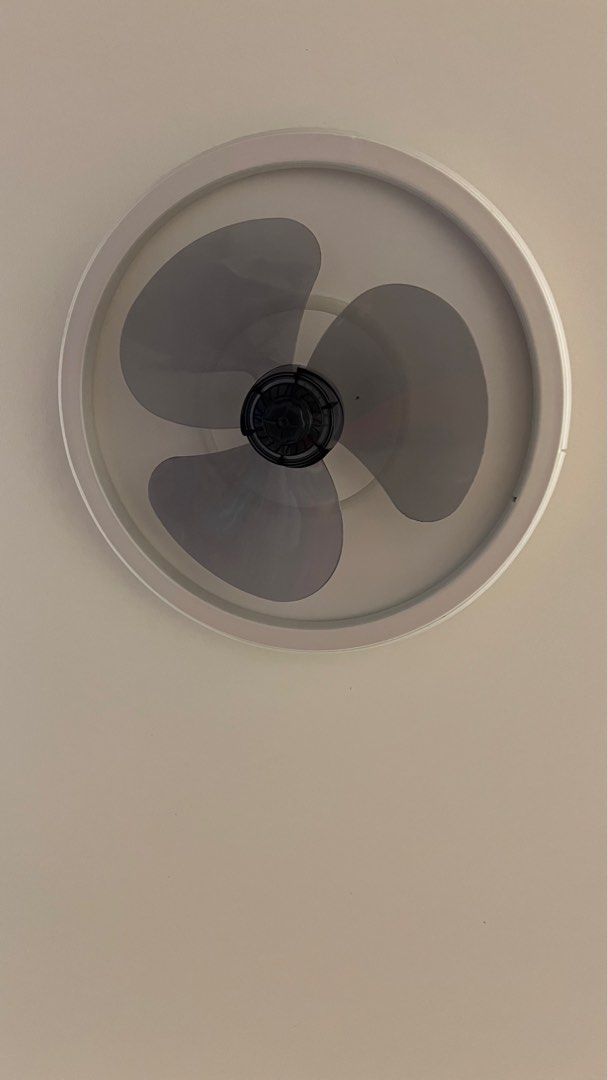 Ceiling fan & light64885259220355112