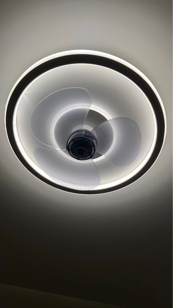 Ceiling fan & light64885259220355111